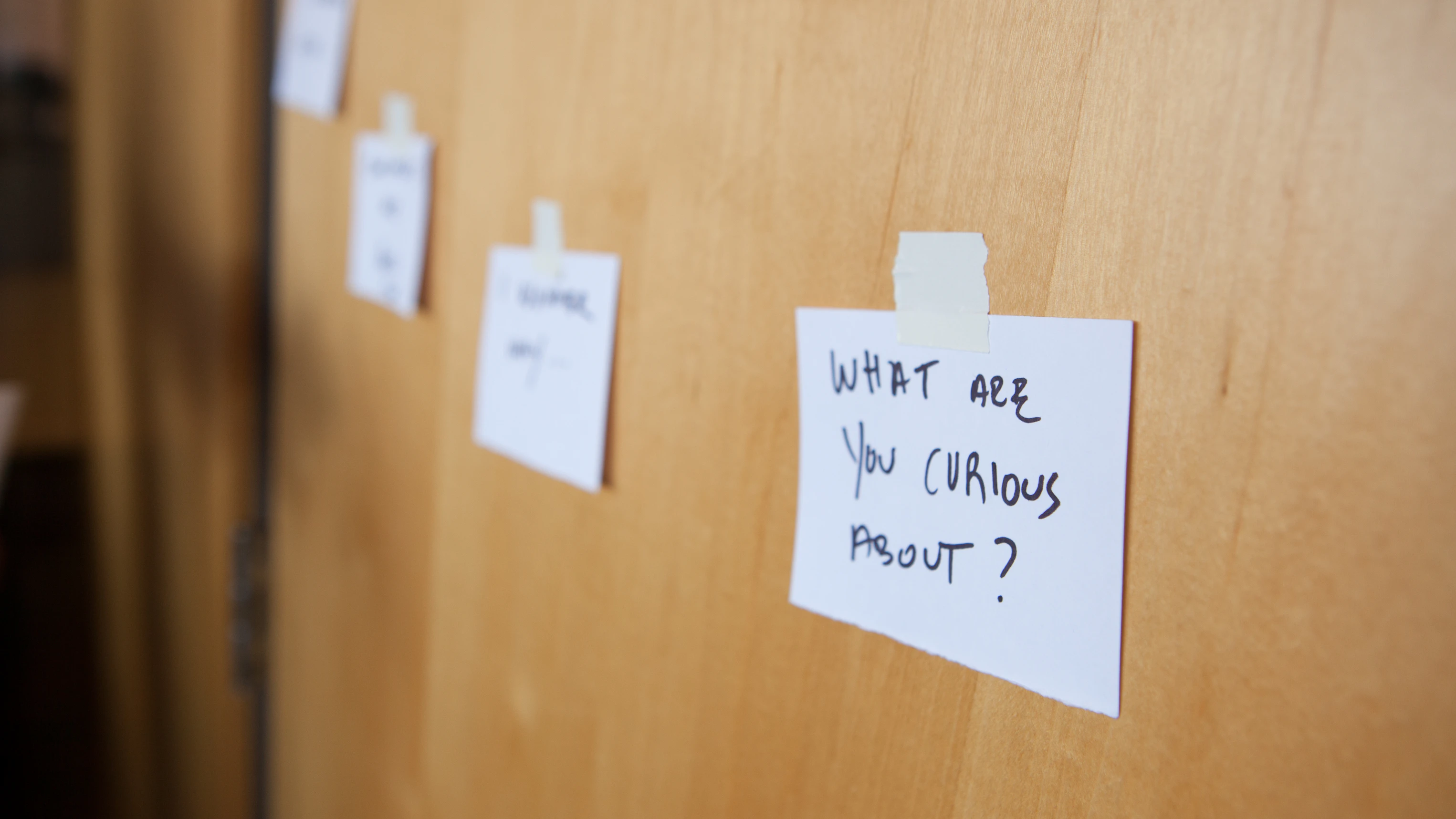 人材採用 人材採用